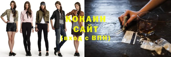 бошки Бронницы