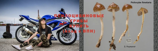 бошки Бронницы