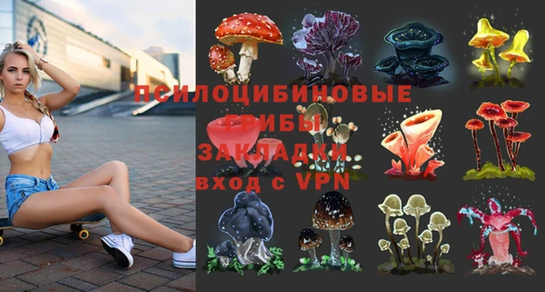 бошки Бронницы