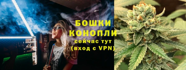 бошки Бронницы