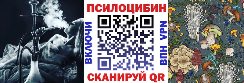Псилоцибиновые грибы Cubensis Иноземцево